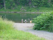 swimmers and kayakers in the river