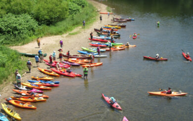 many colorful kayaks (and a canoe) approaching the shoreline of a river, seen from above