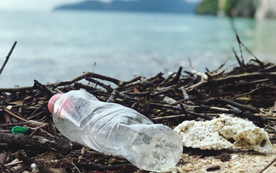 plastic bottle disguarded in nature